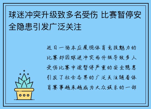 球迷冲突升级致多名受伤 比赛暂停安全隐患引发广泛关注