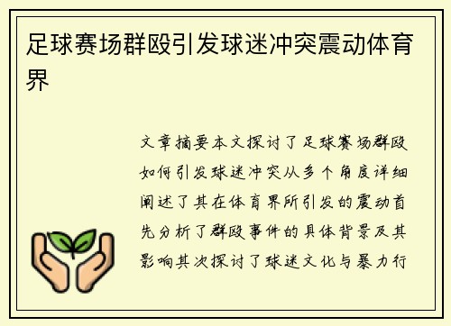 足球赛场群殴引发球迷冲突震动体育界